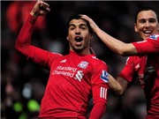 Bóng đá anh, ngoại hạng anh, lịch thi đấu euro 2012, Những “mỹ từ” được dành cho Luis Suarez